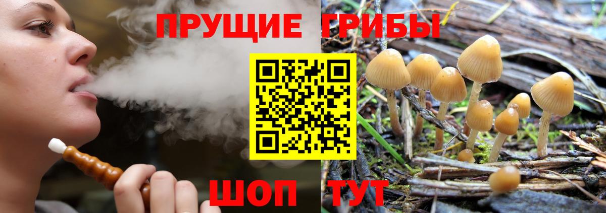 Псилоцибиновые грибы Magic Shrooms Красный Сулин